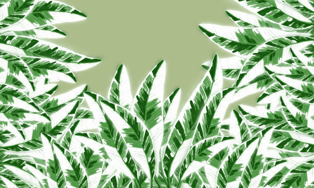 istock tropical banana leaves green nd white color  spring nature  background with emnpty space 1386978023