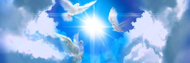 istock The flying three white doves around clouds stairs leading to shining heaven and the background of the clouds in beautiful blue sky 1386981439