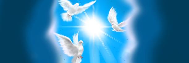 istock The flying three white doves around clouds stairs leading to shining heaven and the background of the clouds in beautiful blue sky 1386981464
