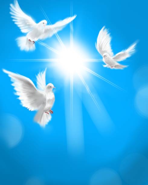 istock The flying three white doves around clouds stairs leading to shining heaven and the background of the clouds in beautiful blue sky 1386982214