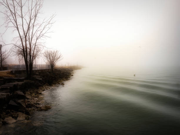 A foggy sunrise on the Detroit River along the shoreline of Windsor, Ontario