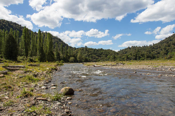 istock Picturesque landscape with river, forest and clouds on background. 1386988079