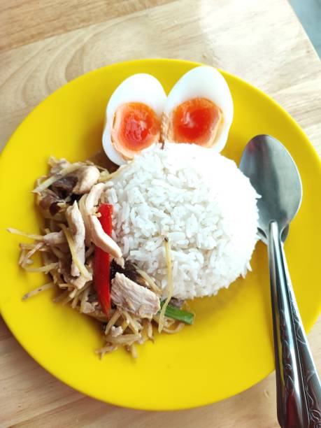 Stir Fried Chicken with Ginger