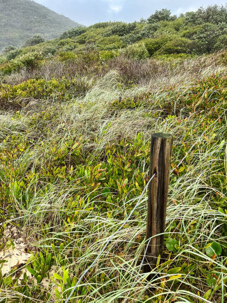 istock Rugged Australian coastline, bush and sky 1386997062