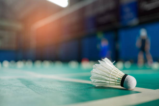 istock Badminton shuttlecock on a green floor 1386999134