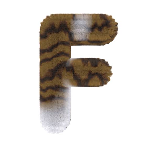 istock Brown Tabby Cat Themed Font Letter F 1386999190