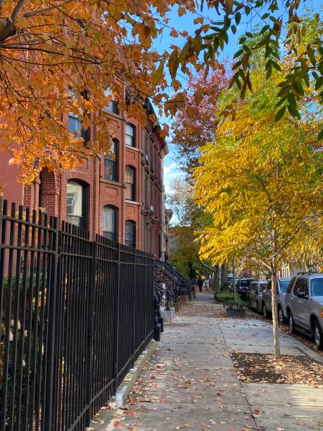 istock Brick row houses in Brooklyn, NY. 1387000209
