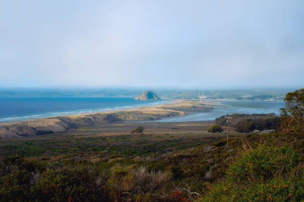 scogliere rocciose, morro rock e oceano pacifico, splendida vista dal sentiero montana de oro bluff, ca - beauty in nature cloud rocky coastline rock foto e immagini stock