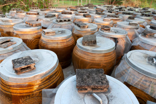 istock Thai style food preserving in big earthen jars 1387006176