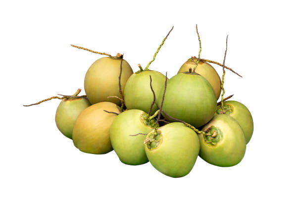 istock Group of fresh organic coconuts isolated on background 1387006195