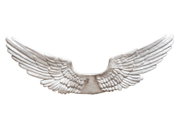 ailes métalliques isolées sur fond blanc - wing insignia metal silver photos et images de collection