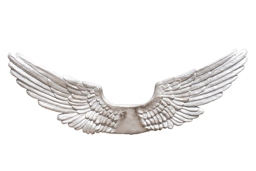 Metallic wings isolated on white background