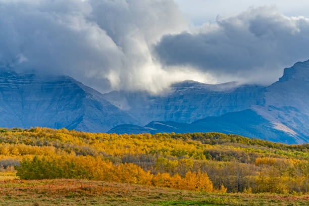 Rocky Mountain views in Waterton National Park in Alberta Canada