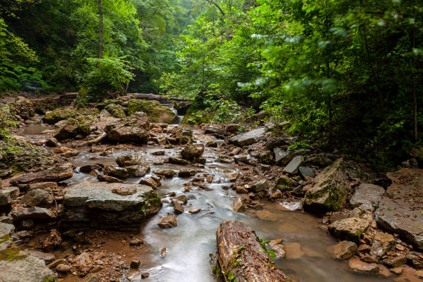 istock Mountain river. Republic of Adygea. 1387011996