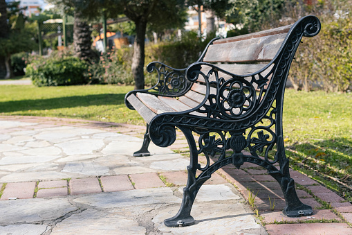 forged wooden bench in the city square in the park, green grass around and sidewalk with tiles. High quality photo