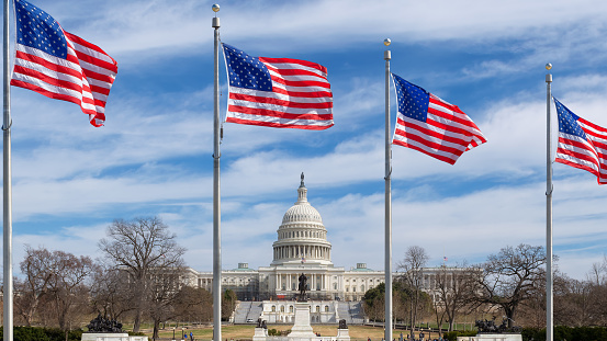 American flags at sunny day and US Capitol Building in Washington DC, USA
