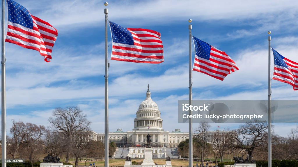 US Capitol Building  and American flags in Washington DC, USA American flags at sunny day and US Capitol Building in Washington DC, USA Capitol Building - Washington DC Stock Photo
