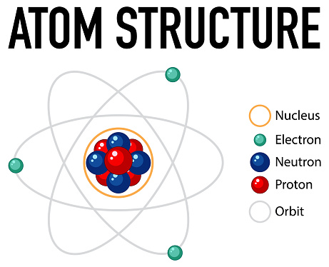 Diagram of atom structure  illustration