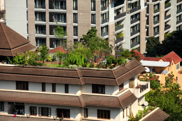istock High angle view rooftop of residential building 1387019200