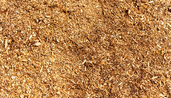 Close-up texture of shredded wood chips