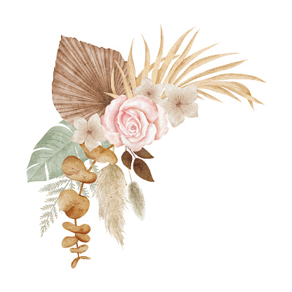 Watercolor boho tropical arrangement. Dried flowers composition. Pampas grass, monstera, palm leaf, pink rose.