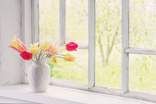 istock beautiful tulips in vase on white windowsill 1387026095