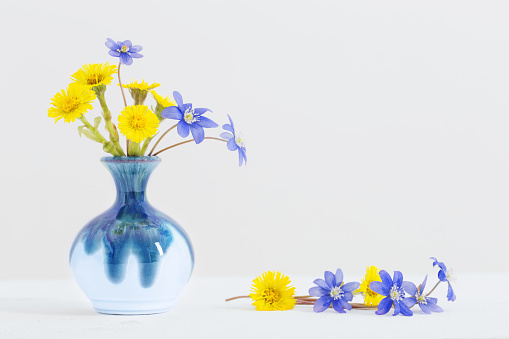 spring flowers in vase on white background