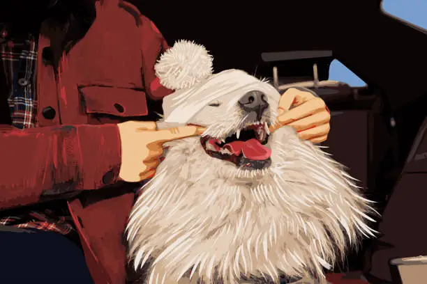 Vector illustration of The cutest Samoyed dog on a car trip