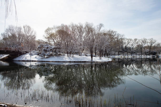 istock Snow in a public park 1387033569