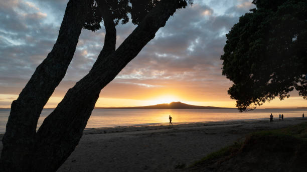 Silhouette of people running and walking on Milford beach, framed by Pohutukawa trees at sunrise, Auckland. Silhouette of people running and walking on Milford beach, framed by Pohutukawa trees at sunrise, Auckland. rangitoto island stock pictures, royalty-free photos & images