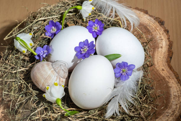istock easter decor in a natural style. The eggshell is decorated with flowers and leaves. The composition uses product packaging, Zero waste and upcycling. birch branches, blur and selective focus 1387042448