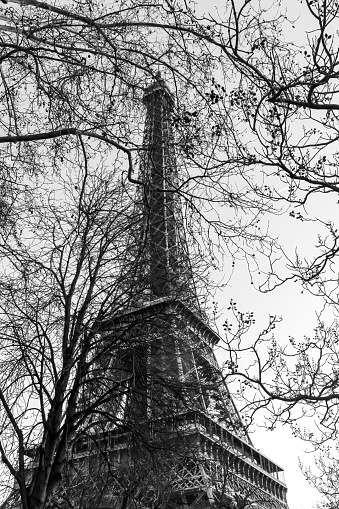 Eiffel tower in the clouds - Paris, France\n\n[b]View entire lightbox:[/b]\n\n[url=http://www.istockphoto.com/my_lightbox_contents.php?lightboxID=797870 t=blank][img class=mceItemIstockImage]http://www.istockphoto.com/file_thumbview_approve.php?size=1&id=1414677[/img][img class=mceItemIstockImage]http://www.istockphoto.com/file_thumbview_approve.php?size=1&id=1382967[/img][img class=mceItemIstockImage]http://www.istockphoto.com/file_thumbview_approve.php?size=1&id=1325891[/img][img class=mceItemIstockImage]http://www.istockphoto.com/file_thumbview_approve.php?size=1&id=786449[/img][/url]
