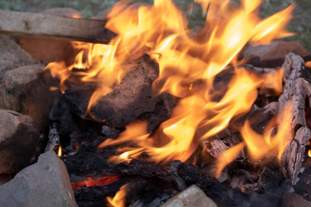 istock Small campfire with gentle flames in the steppe. Western Kazakhstan 1387043323