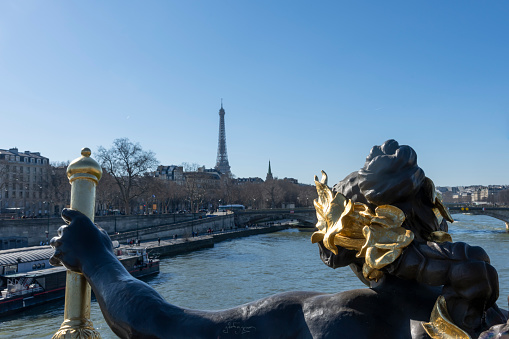Eiffel Tower viewed over the arm of a streetlight statue on the bridge over the River Seine.