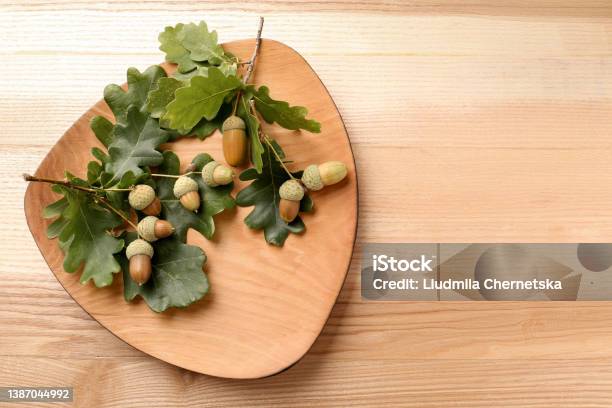 Acorns And Oak Leaves On Wooden Table Top View Space For Text Stock Photo - Download Image Now