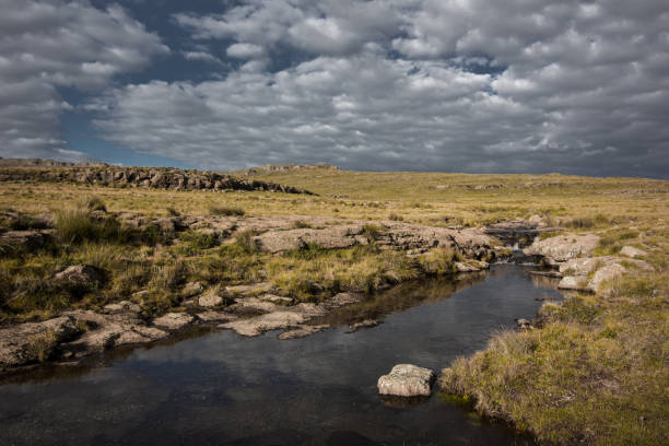 steppes of the tugela river, south africa - tugela river imagens e fotografias de stock
