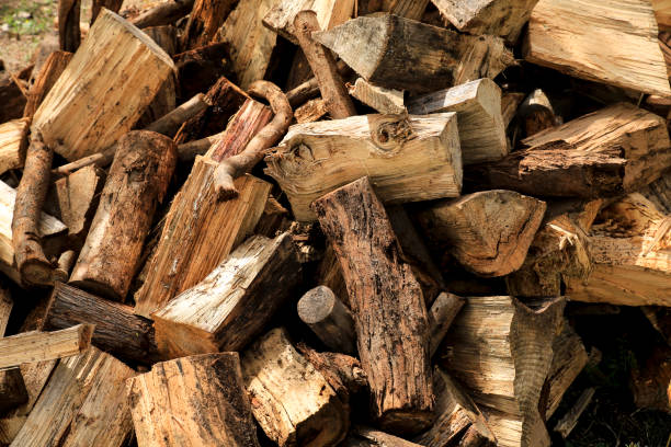 田舎で販売するために薪を切る - eucalyptus wood ストックフォトと画像