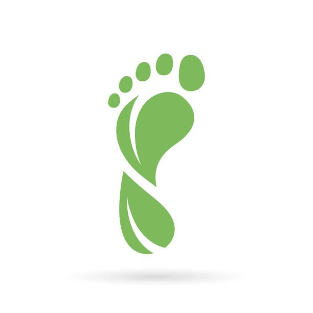 leaf-symbol für den kohlenstoff-fußabdruck - fußabdruck stock-grafiken, -clipart, -cartoons und -symbole