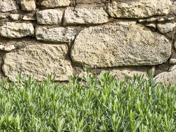 Grungy old stone wall concept: Many small, rough, rectangular shaped natural stones. Built structure, building exterior, construction industry. Architectural material. Limestone, sandstone, granite, brick texture. Various pattern. Blank background with large copy space