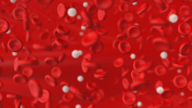 istock Red and white Blood Cells in an artery 1387057994