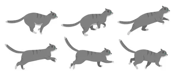 Vector illustration of Cute cat cartoon character running vector illustrations set