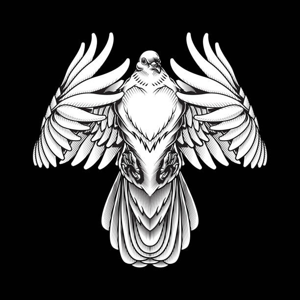 88 Dove Heart Tattoos Illustrations & Clip Art - iStock 88 Dove Heart Tattoos Illustrations & Clip Art - iStock
