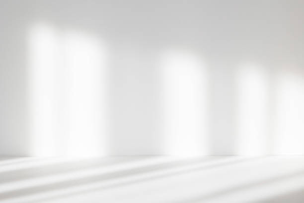 istock Abstract white studio background for product presentation. Empty room with shadows of window. Display product with blurred backdrop. Soft focus 1387064327