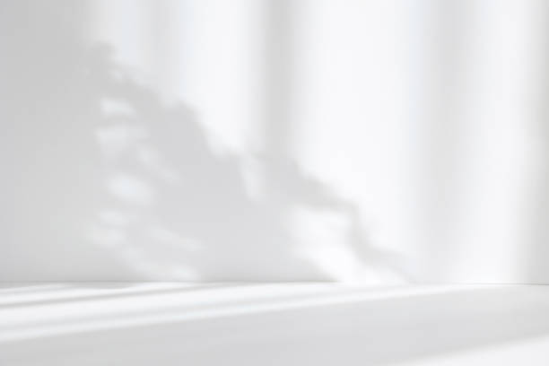 istock Abstract white studio background for product presentation. Empty room with shadows of window and flowers and palm leaves . 3d room with copy space. Summer concert. Blurred backdrop. 1387064333
