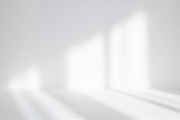 istock Abstract white studio background for product presentation. Empty room with shadows of window. Display product with blurred backdrop. Soft focus 1387064340