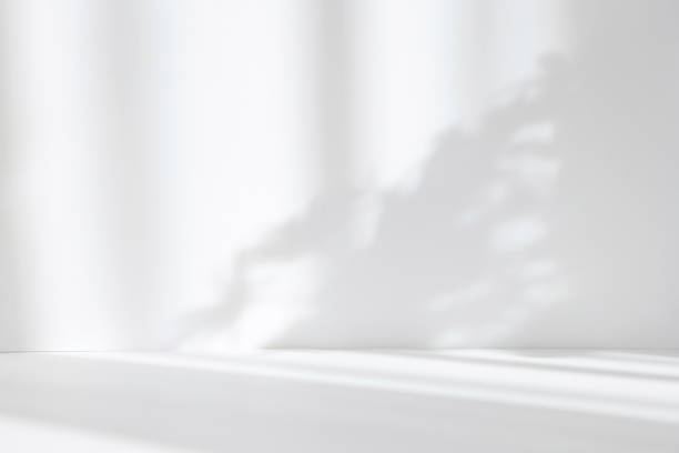 istock Abstract white studio background for product presentation. Empty room with shadows of window and flowers and palm leaves . 3d room with copy space. Summer concert. Blurred backdrop. 1387064341