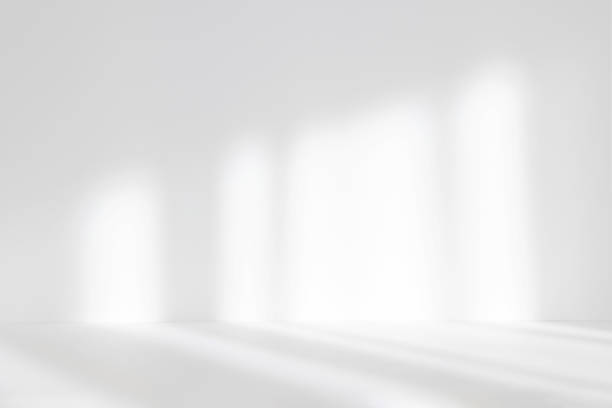 istock Abstract white studio background for product presentation. Empty room with shadows of window. Display product with blurred backdrop. Soft focus 1387064342
