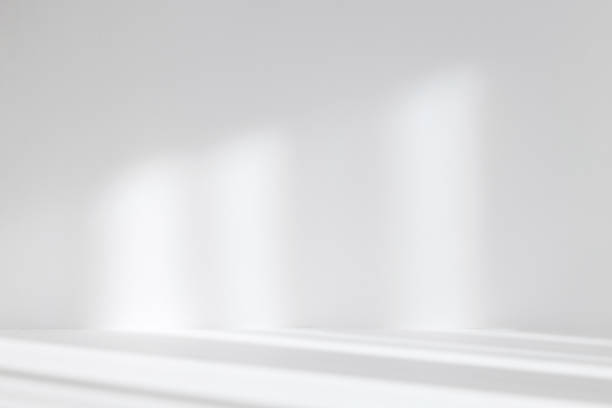 istock Abstract white studio background for product presentation. Empty room with shadows of window. Display product with blurred backdrop. Soft focus 1387064353