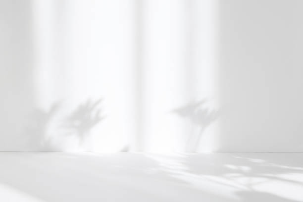 istock Abstract white studio background for product presentation. Empty room with shadows of window and flowers and palm leaves . 3d room with copy space. Summer concert. Blurred backdrop. 1387064355