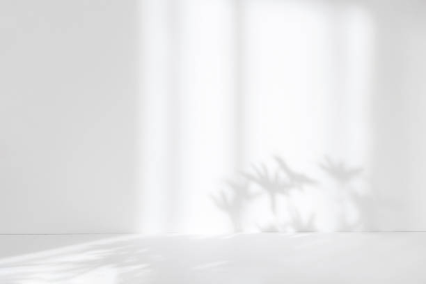 istock Abstract white studio background for product presentation. Empty room with shadows of window and flowers and palm leaves . 3d room with copy space. Summer concert. Blurred backdrop. 1387064359